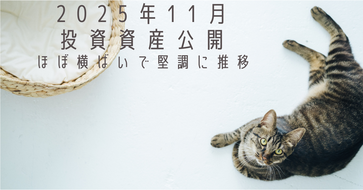 2025年11月度 投資資産公開：ほぼ横ばいで堅調に推移