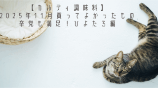 【カルディ調味料】2025年11月買ってよかったもの｜辛党も満足！ひよたろ編