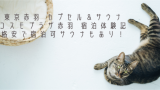 東京赤羽　カプセル＆サウナ　コスモプラザ赤羽　宿泊体験記｜格安で宿泊可サウナもあり！
